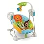 Fisher-Price Precious Planet Space Saver Swing and Seat