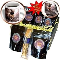 Dogs Mustiff - Bullmastiff - Coffee Gift Baskets - Coffee Gift Basket