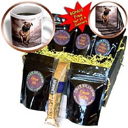 Dogs Mustiff - Bullmastiff - Coffee Gift Baskets - Coffee Gift Basket by 3dRose LLC