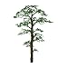 Professional Tree, Scots Pine 8" (1)