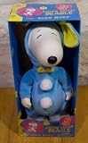 Snoopy 13