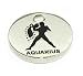 Aquarius Trolley Token Zodiac Keyring