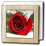 Red Rose - 6 Inch Tile Napkin Holder