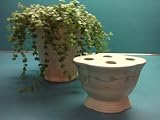 Farah Collection Toothbrush Holder
