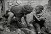 Historic Poverty Films on DVD: 1948-1967 Salvation Army, Public Housing, Human Rights...