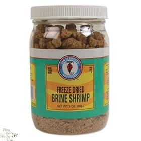 San Francisco Bay Brand Freeze Dried Brine Shrimp 0.35 oz. by San Francisco Bay Brand
