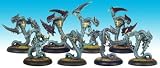 Metropolis: Koralon Brood Box Set