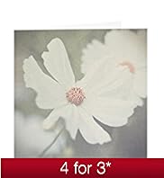 White Flower Blank Card