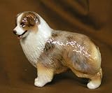 Australian Shepherd