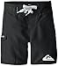 Quiksilver Little Boys' Everyday 21 Boardshort