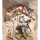 Find 13 Horses Plush Raschel 