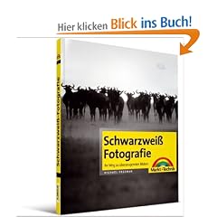 Schwarzwei�-Fotografie: Ihr Weg zu �berzeugenden Bildern