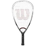 Wilson '09 Punisher Racquetball Racquet