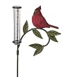 Cardinal Rain Gauge