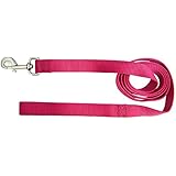 Hamilton Single Thick Nylon Dog Lead, 1-Inch by 6-Feet, Raspberry