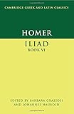 Iliad, book VI