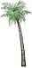 Walls of the Wild Small Palm Tree Wall Decal (36 in. x 72 in.)