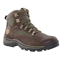 Timberland Men's 15130 Chocurua Trail GTX Boot,Brown/Green,8.5 W

