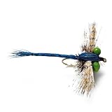 Gibson's Dragonfly / Gibson's Dragonfly