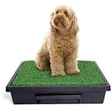 PetSafe Pet Loo Portable Pet Potty - Medium