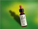 Bach Essence Red Chestnut 20 Liquids