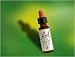 Larch - 20 ml - by Bach Flower Remedies