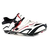 Shimano MTB Race/Comp Shoes Shoe Spd Xc60 We/Black/Rd