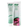 Echinacea Toothpaste 3.5 oz. 3.50 Ounces