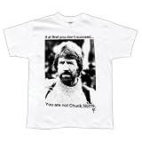 41WwgeAXfeL. SL160  Chuck Norris   Succeed T Shirt