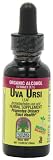 UPC 083000005275 product image for Nature's Answer Uva Ursi Leaf with Organic Alcohol, 1-Fluid Ounce | upcitemdb.com