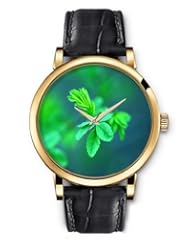 SPRAWL Aanalog Fashion Series Gold Ladies Watches of Genuine Black Leather Strap,Unique Wrist Watch for Women Girls Designed with green leaves