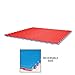 Century Reversible Puzzle Sport Mat (Red/blue)
