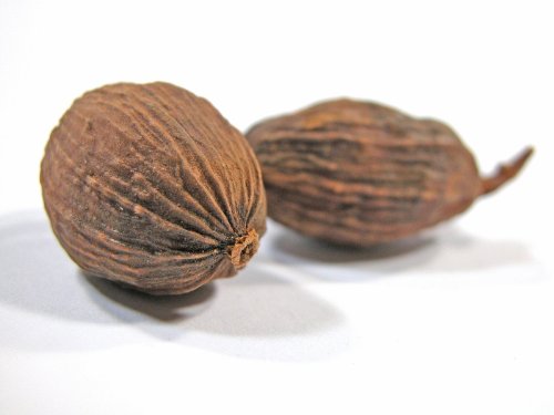Number 1 Nutmeg: The Ultimate Collection of the World's 12 Finest Nutmeg Recipes