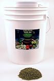 35 Lbs Mung Bean Sprouting Seed - Certified Organic - 35 Lb. Nitrogen Packed Re-sealable Bucket - High Germination Rate - Dried Mung Beans for Sprouting Sprouts, Garden Planting, Cooking, Soup, Food Storage, Hydroponics, or Chinese & Oriental Cooking: Mung Bean Sprouts Are High in Choline, Protein and the Amino Acid Methionine, Vitamins A, B Complex, C and E; Minerals Calcium, Magnesium, Potassium, and Phosphorous; Trace Minerals Zinc, Chromium and Iron. They Make a Zesty Addition to Sprout Salads.
