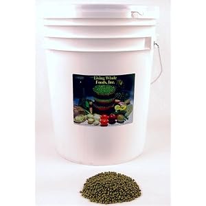 Mung Bean Sprouting Seed Organic 5 Lbs Mung Bean Sprouting Seed Organic 5 Lbs