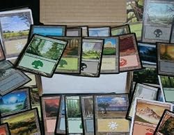 300 Assorted Magic: The Gathering MTG Basic Lands Cards