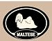 maltese49  - Foyo KE122 Maltese Key Candy