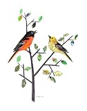 A pair of Baltimore Orioles - Recycled art from newspaper - 11 x 14