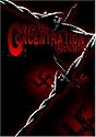 Nazi Concentration Camps