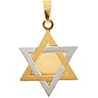 14K Two-Tone Gold Star of David Pendant - 21.00x15.50mm