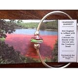 Cranberry Harvest Glass Bead by MyCape/MyTown Designs Reviews 41Wynf9e6fL. SL160 Cranberry Harvest Glass Bead by MyCape/MyTown Designs Reviews