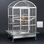 Avian Adventures Grande Dometop Bird Cage