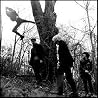 Image of Rites Of Spring