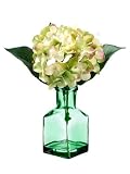 11 Hydrangea in Glass Vase Green Pink (Pack of 6)