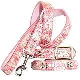 Cobra Skin Pattern Chrome Bones Dog Collar & Lead Set - Small (9-12 1/2)/Cerise Pink