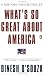 What's So Great about America