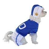 Anit Accessories Blue Football Jersey Dog Costume, 8-Inch