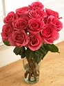One Dozen Pink Passion Roses