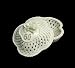 50th Wedding Anniversary White Porcelain Keepsake Trinket Box #42653