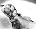 VERONICA LAKE 24X36 POSTER PRINT